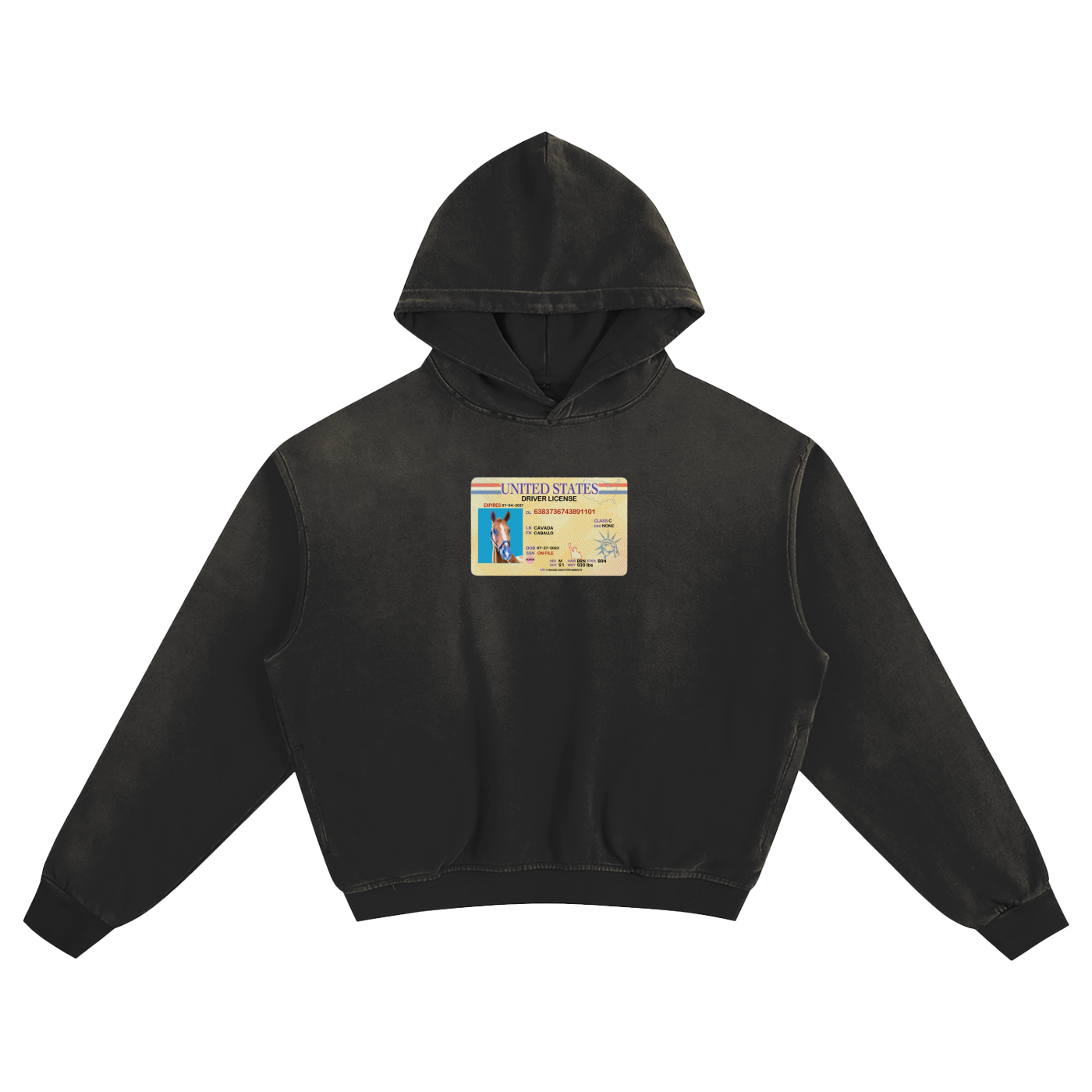 Horse ID Boxy Hoodie